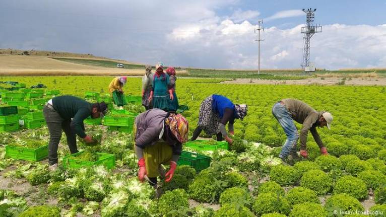 Türkiye, Sudan'da tarıma başlıyor