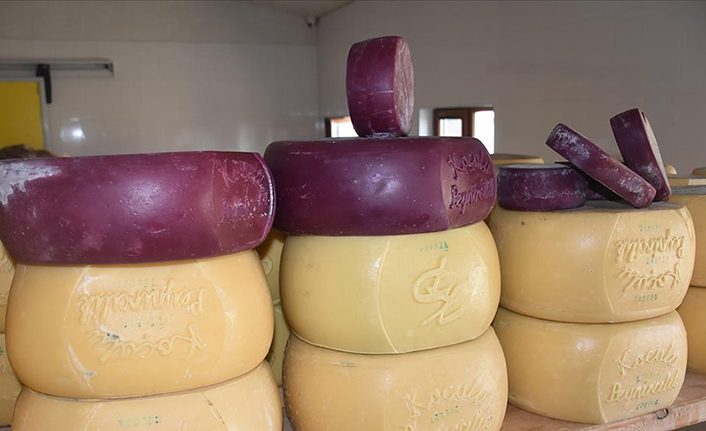 Kars'ta mor renkte gravyer ile kaşar peyniri üretiliyor