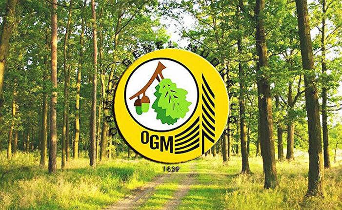 Orman Genel Müdürlüğü sözleşmeli personel alım ilanı
