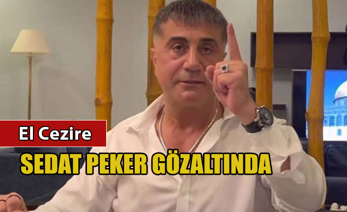 Sedat Peker gözaltında