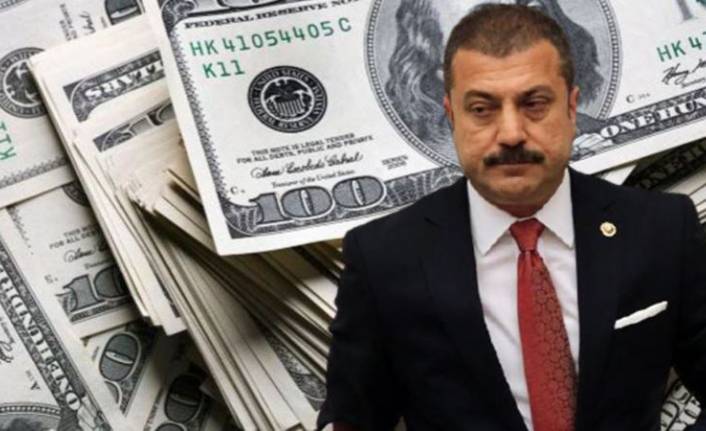 Kavcıoğlu'ndan dolar kuru açıklaması