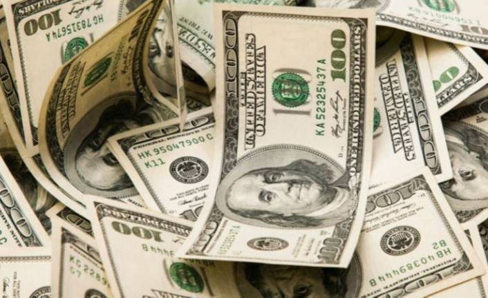 Merkez Bankası'ndan BOTAŞ'a tarihi dolar satışı