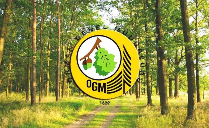 Orman Genel Müdürlüğü 5 bin Geçici İşçi alacak