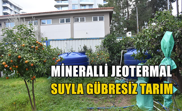 Mineralli jeotermal suyla gübresiz tarım
