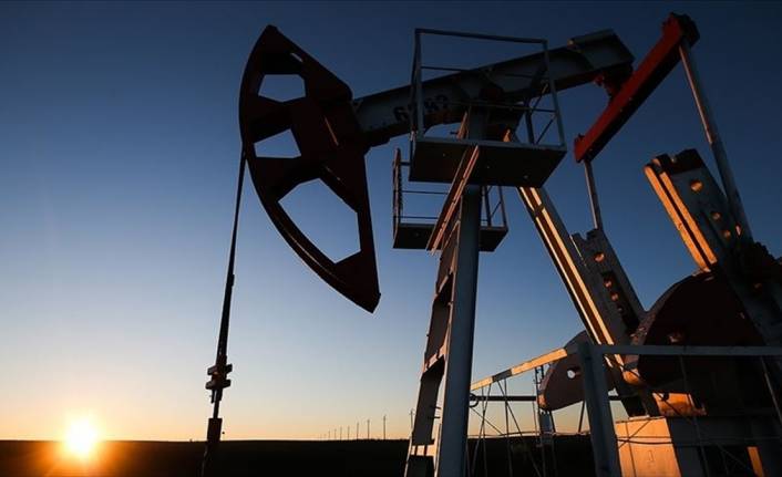 OPEC'in petrol üretimi martta arttı