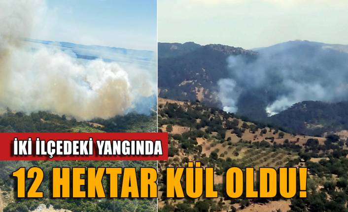 İzmir'deki iki yangında 12 hektar kül oldu 