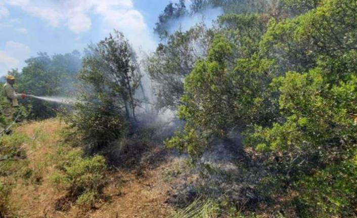 Manisa'da çıkan orman yangını