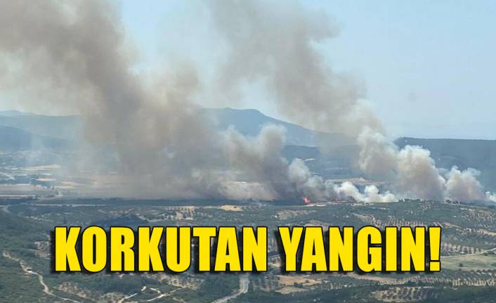 İzmir'de korkutan orman ve makilik yangını