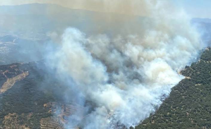 İzmir'de üç orman yangını birden çıktı!