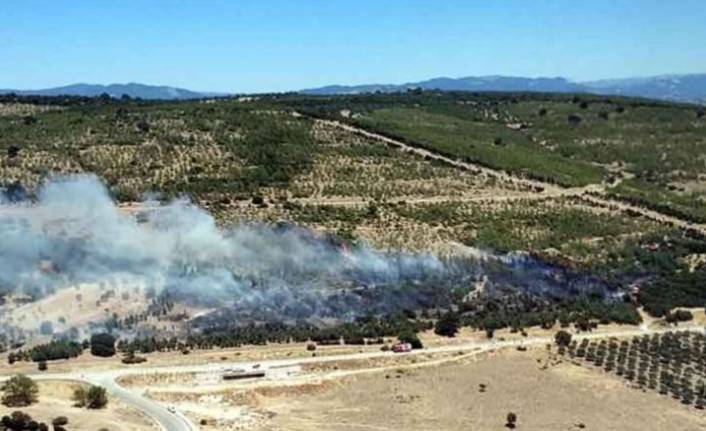 İzmir'de yangın ağaçlandırma sahasına sıçradı