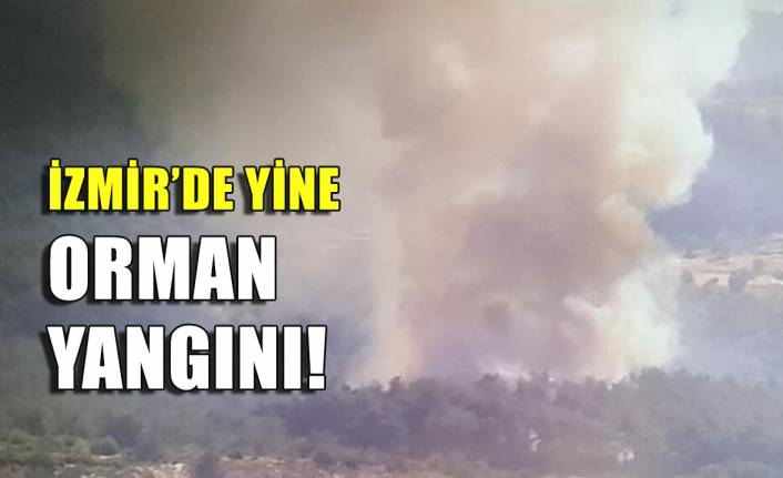 İzmir'de yine orman yangını!