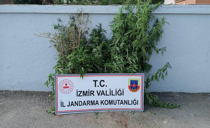 İzmir'deki uyuşturucu operasyonlarında 3 tutuklama