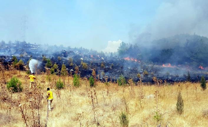 Manisa'da 5 dönüm orman yandı