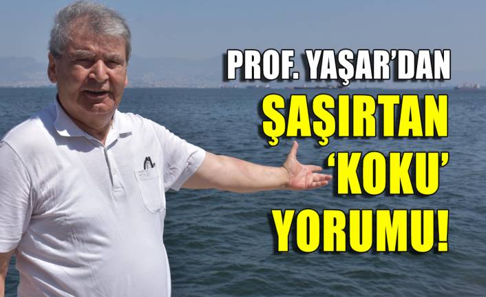Prof. Yaşar'dan şaşırtan koku yorumu: Rögarlarda pis su kalmış!