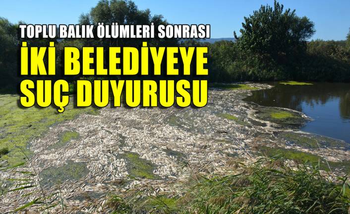 Bakırçay'daki toplu balık ölümlerinde iki belediyeye suç duyurusu!