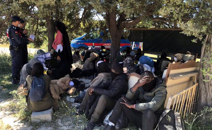 Bir haftada 343 kaçak göçmen ve 6 organizatör yakalandı