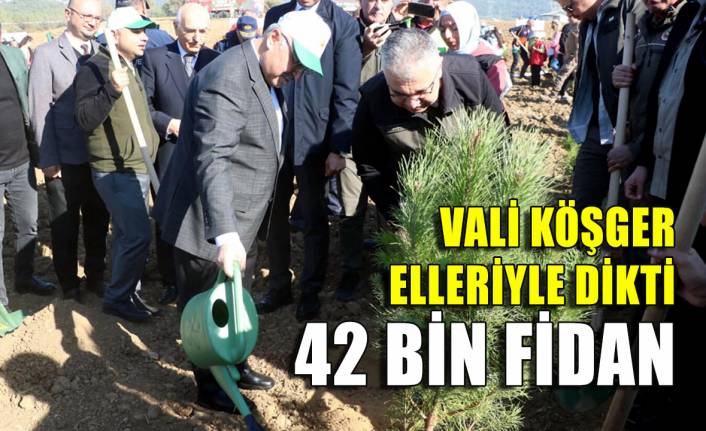 Milli Ağaçlandırma Günü’nde İzmir'e 42 bin 200 fidan