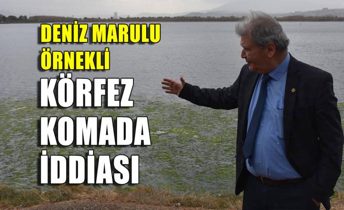 Prof. Dr. Yaşar'dan Körfez komada iddiası!