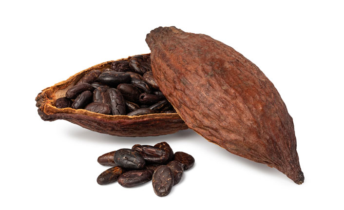kakao çekirdeği kalp sağlığı